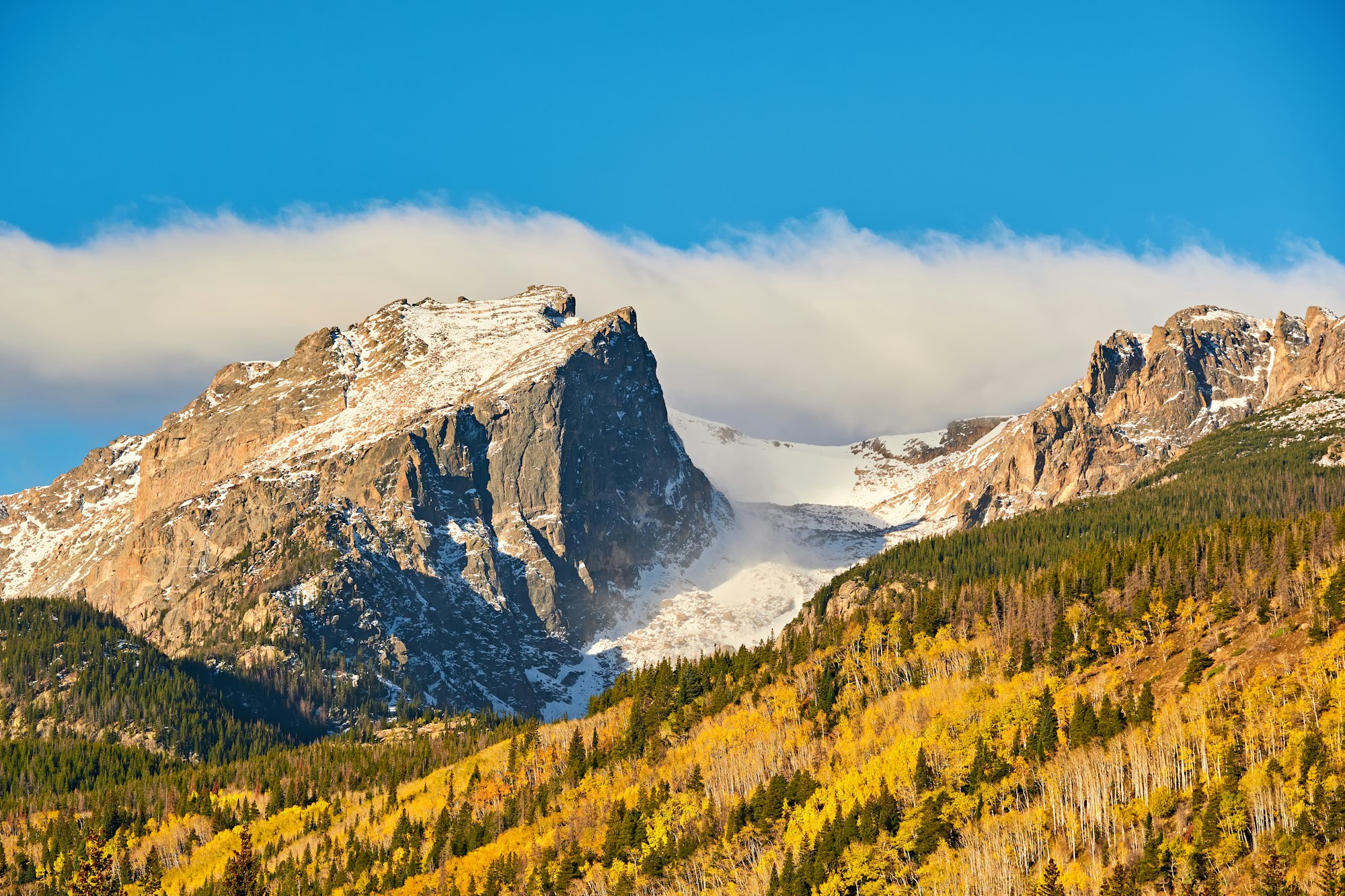 Aspen grove at autumn in Rocky Mountains